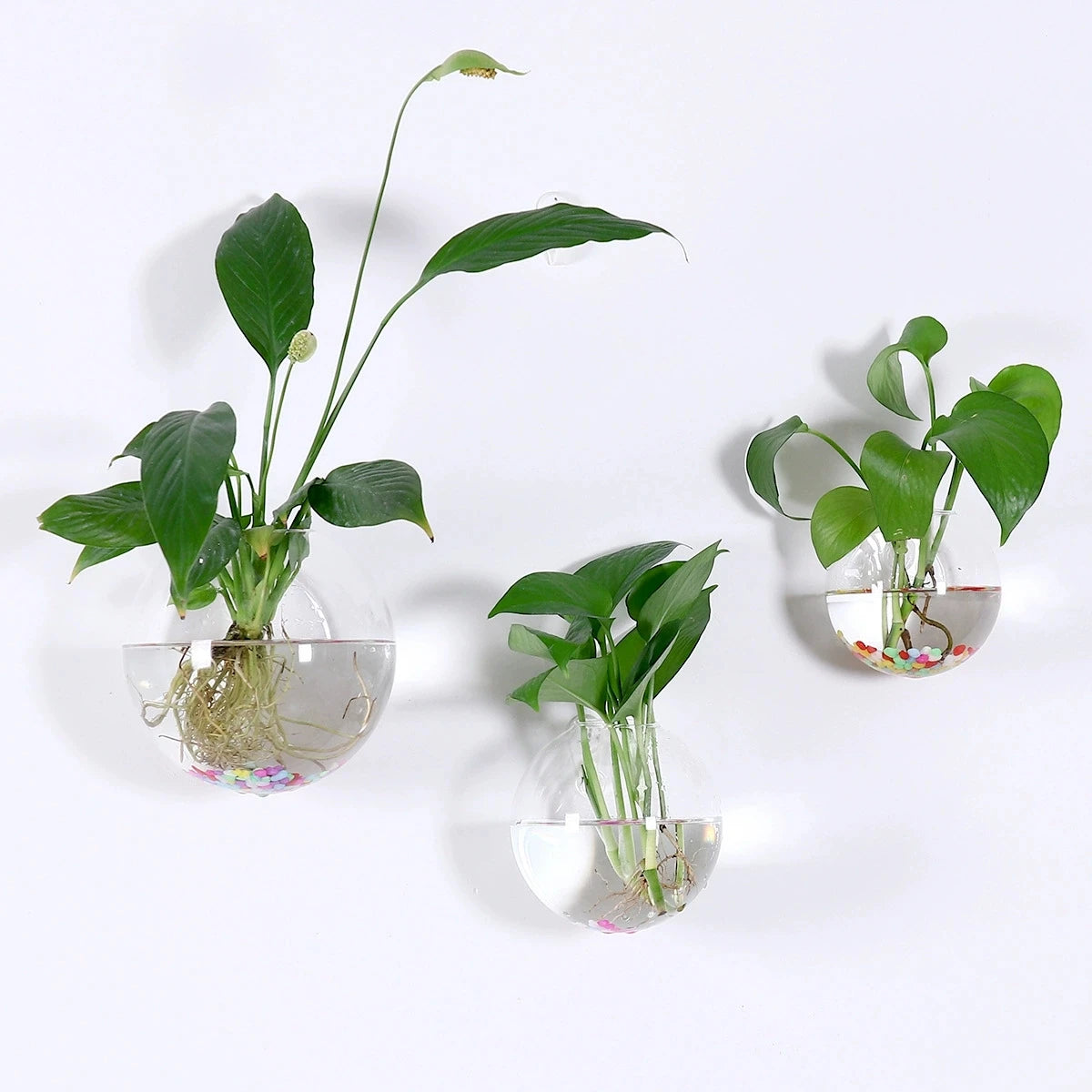 Wall Hanging Glass Terrarium Vase