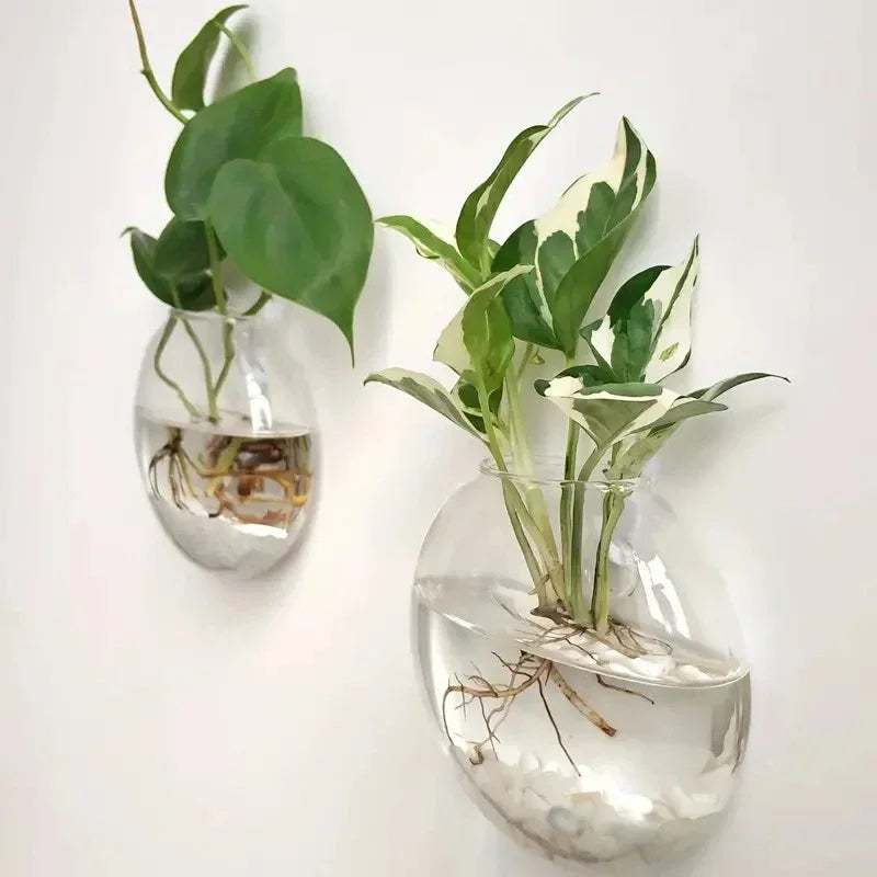 Wall Hanging Glass Terrarium Vase