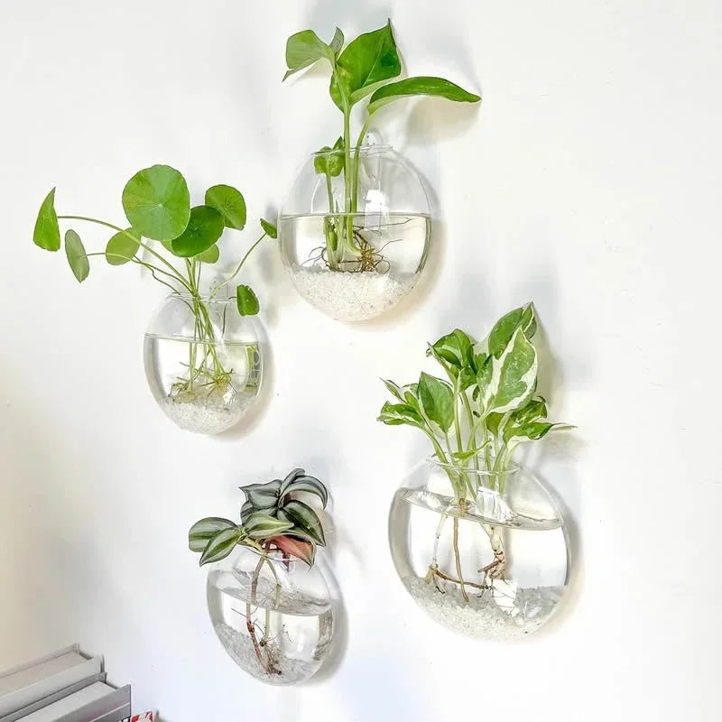 Wall Hanging Glass Terrarium Vase