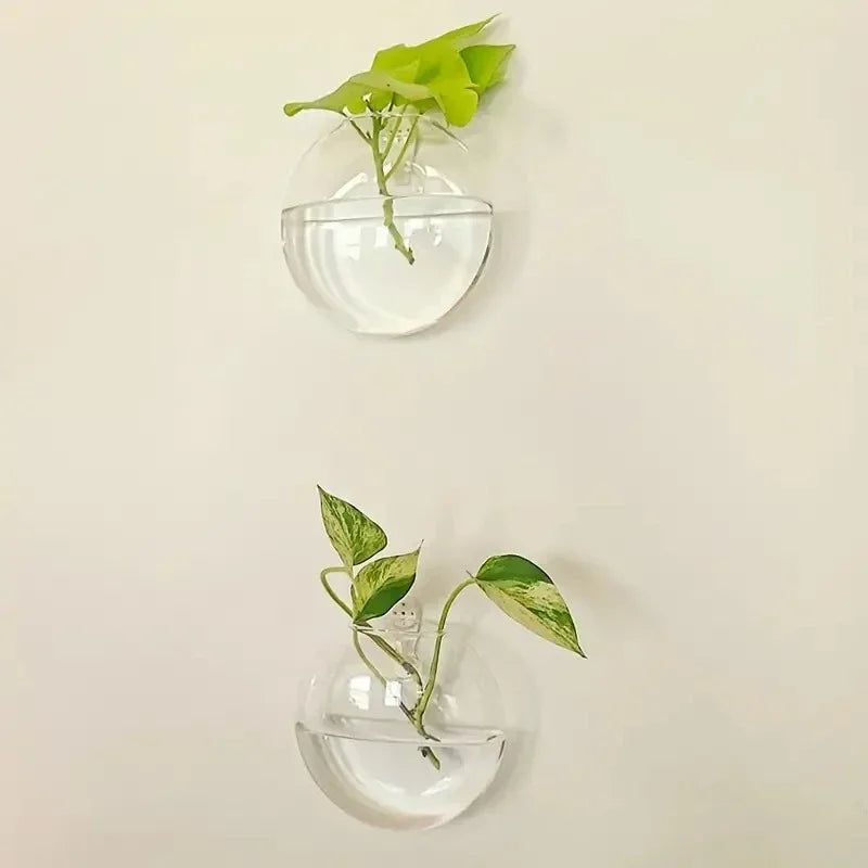 Wall Hanging Glass Terrarium Vase