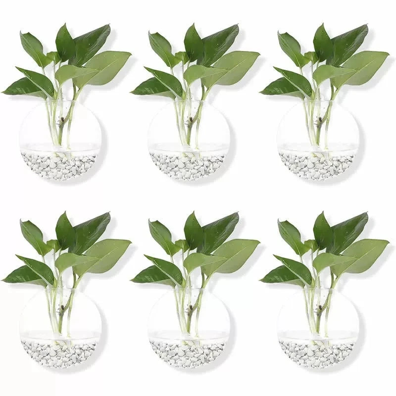 Wall Hanging Glass Terrarium Vase