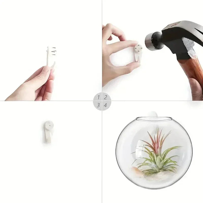 Wall Hanging Glass Terrarium Vase