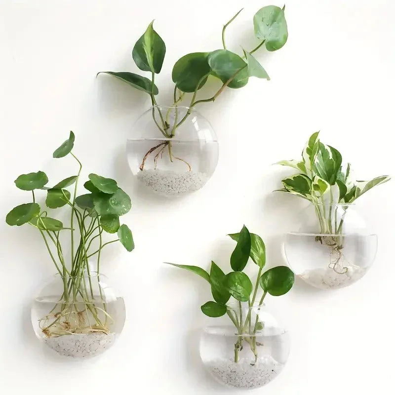 Wall Hanging Glass Terrarium Vase