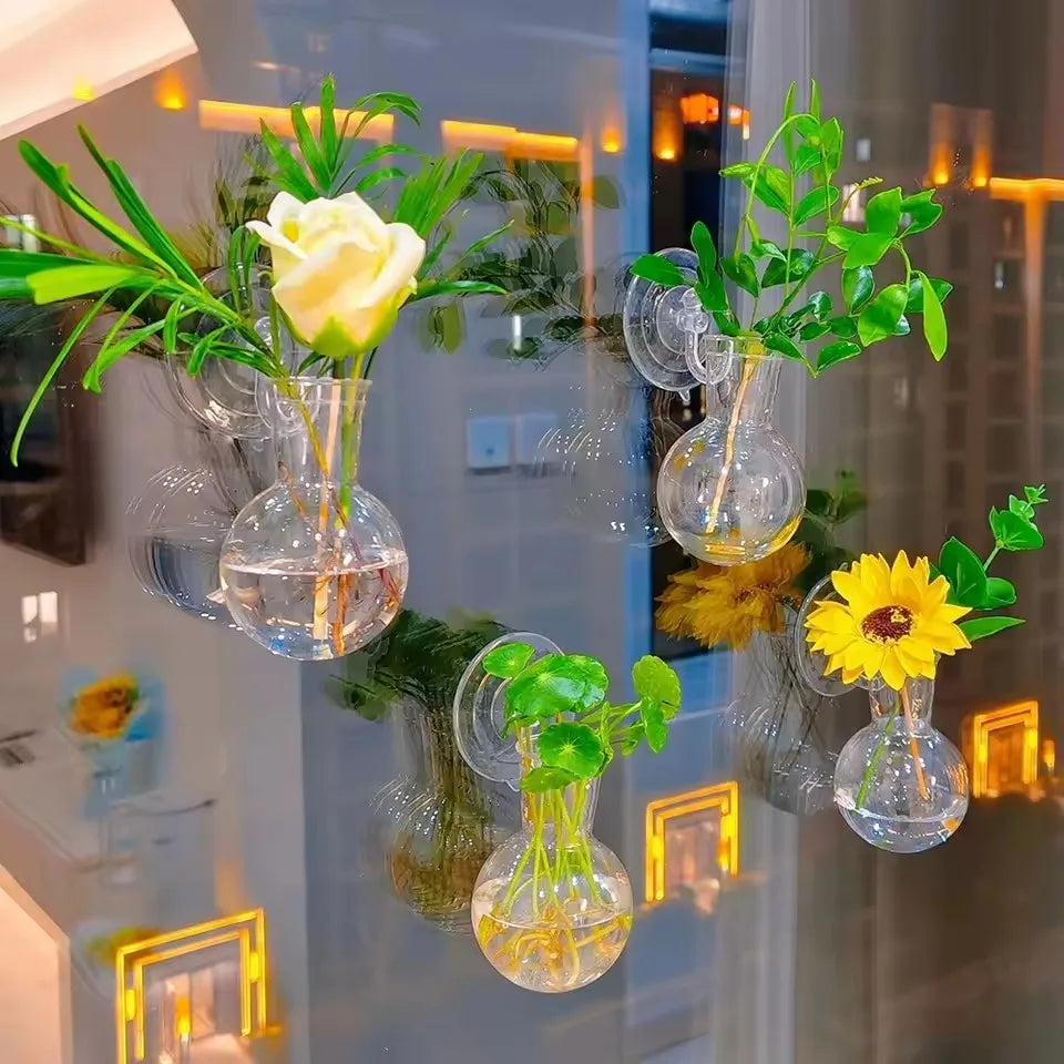 Wall Hanging Glass Terrarium Vase