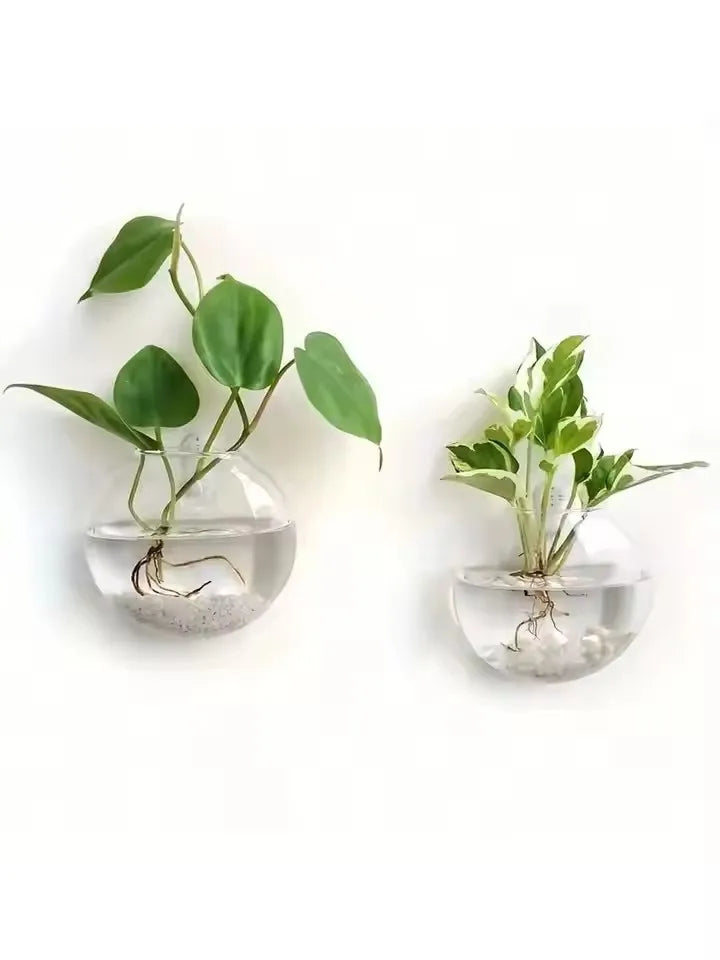 Wall Hanging Glass Terrarium Vase