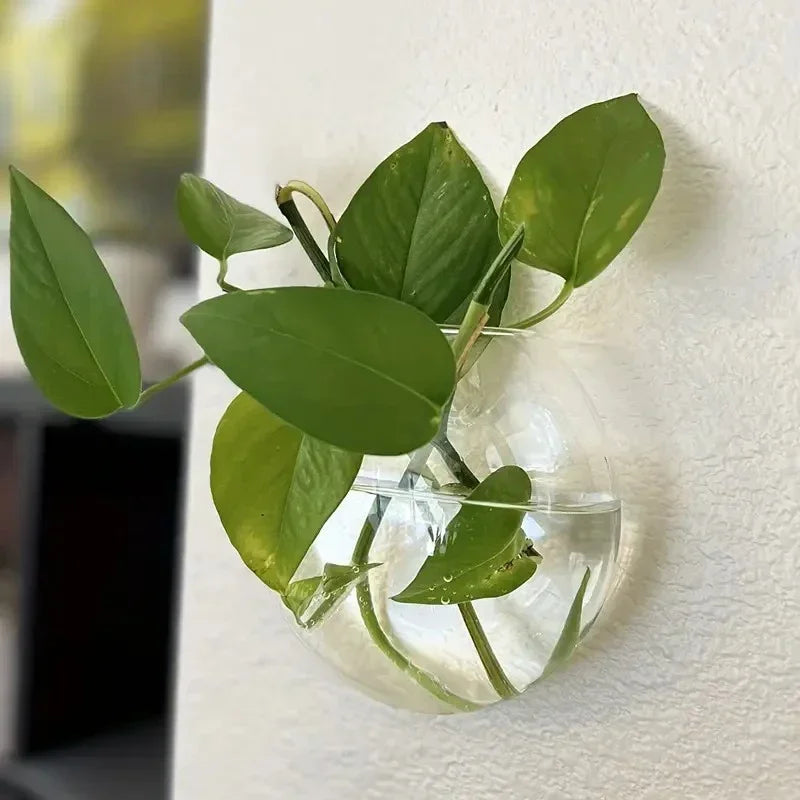 Wall Hanging Glass Terrarium Vase
