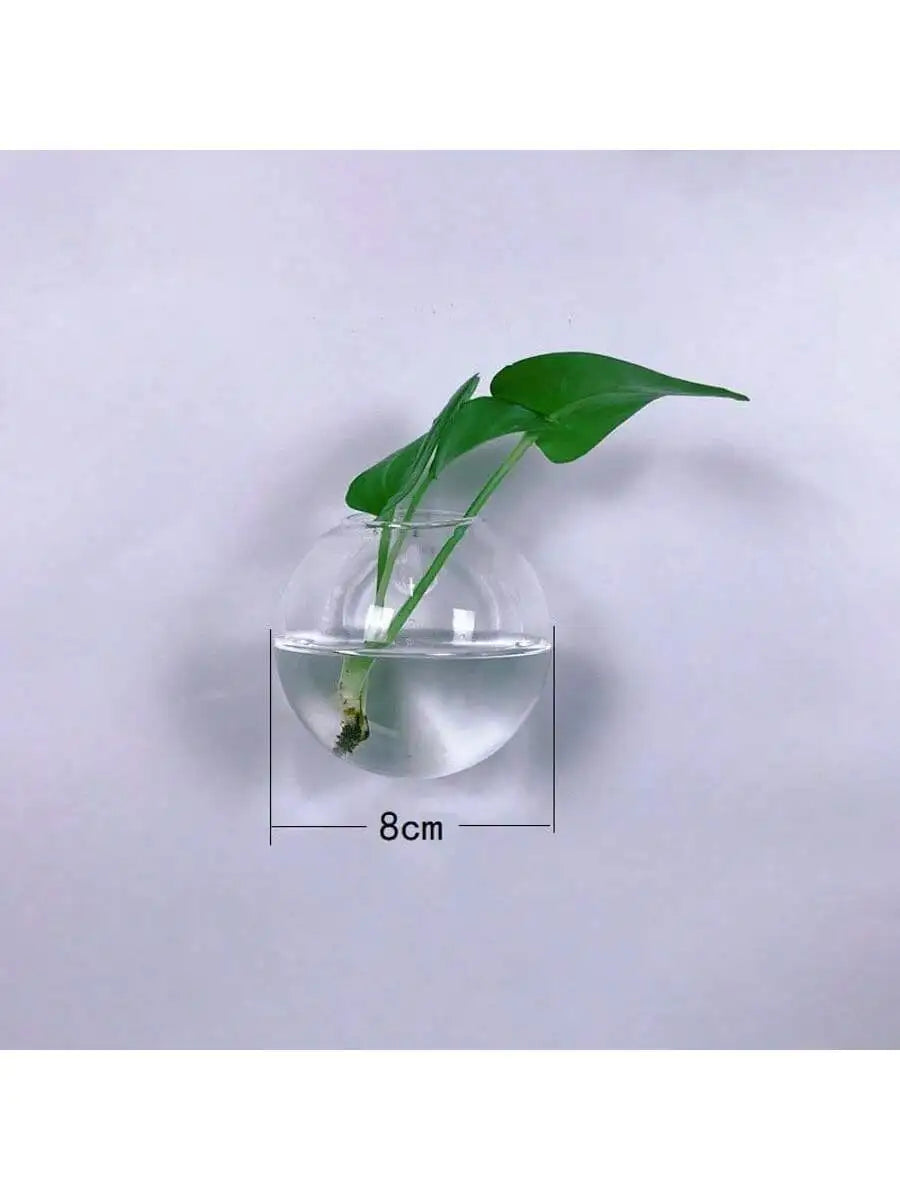 Wall Hanging Glass Terrarium Vase