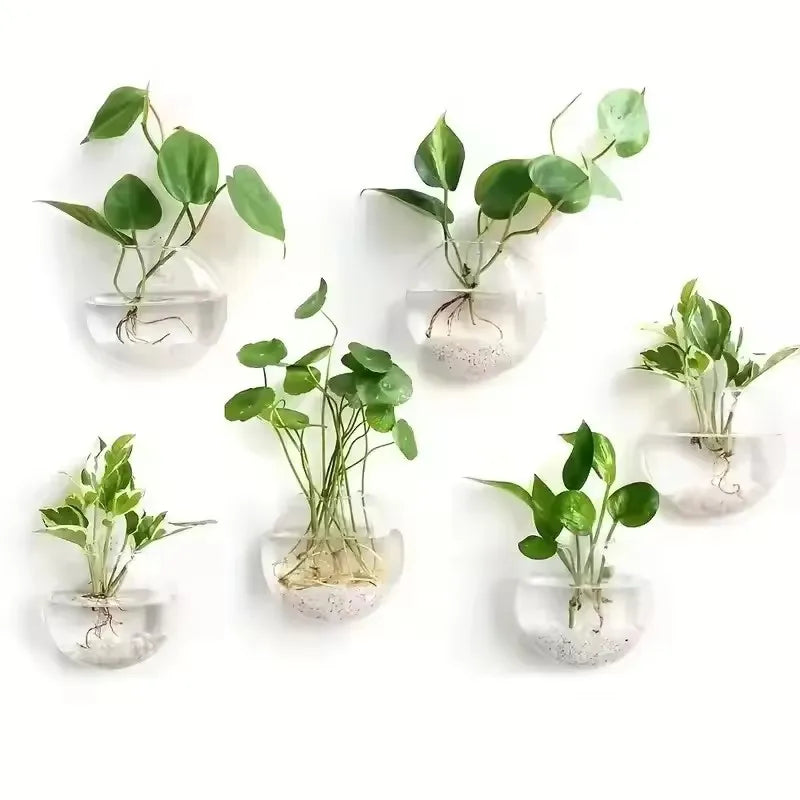 Wall Hanging Glass Terrarium Vase